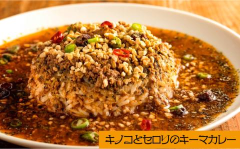 スパイスカレー 食べ比べセット 3種類 150g×各2 計 6パック  / バターチキンカレー グリーンカレー キノコとセロリの キーマカレー  インドカレー タイカレー /  南島原市 / はなぶさ [SCN051]