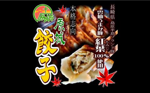 【雲仙もみじ豚使用】餃子 3種 詰め合せ  / プレーン カレー バジル ぎょうざ おかず 弁当 / 南島原市 / はなぶさ [SCN067]