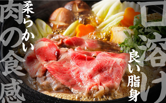 【内閣総理大臣賞受賞！】厳選良質 長崎和牛 もも肉スライス 200グラム×3パック 総計600g / 長崎和牛 牛肉 和牛 牛 モモ もも肉 スライス / 南島原市 / はなぶさ [SCN159]