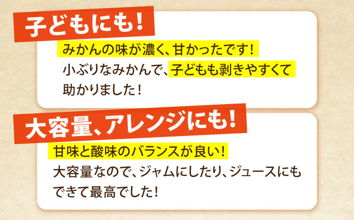 【2025年10月下旬～発送】温州みかん 10kg / フルーツ 果物 / 南島原市 / 蜜柑屋まつお [SCQ002]