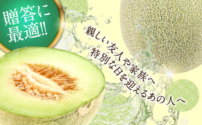 【2026年5月～発送】【さわやかな味！ 】タカミメロン 1玉 （約1kg）  / メロン 南島原市 / 南島原果物屋 [SCV005]