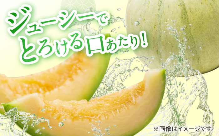 【2026年4月下旬～発送】【根強い人気!】 訳あり プリンスメロン 約4kg（7～13玉）（傷もの）/ メロン めろん フルーツ 果物 / 南島原市 / 南島原果物屋 [SCV024]