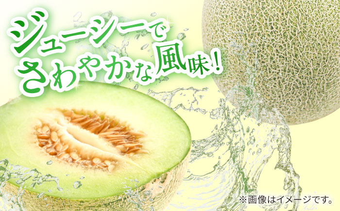 【2026年5月～発送】【さわやかな味!】訳あり タカミメロン 1玉 約1kg（傷もの）/ メロン めろん フルーツ 果物 / 南島原市 / 南島原果物屋 [SCV028]