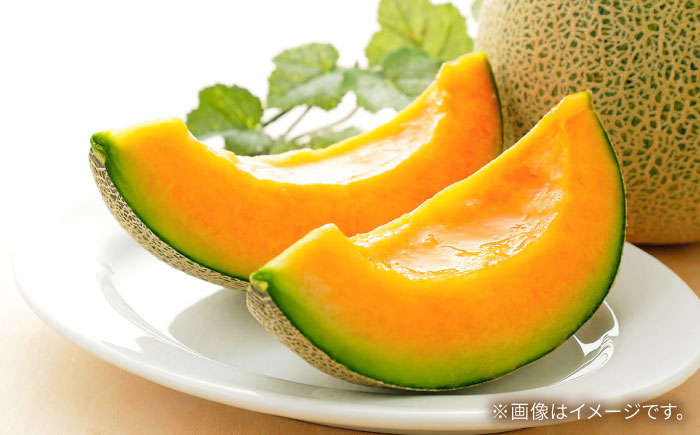 【2026年5月～発送】訳あり タカミメロン レッド 1箱 5kg以内 （3～6玉）/ メロン めろん フルーツ 果物 / 南島原市 / 南島原果物屋 [SCV036]