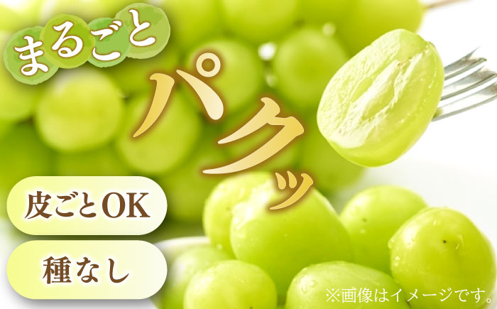 【2026年8月中旬～発送】【数量限定】【糖度18度以上】シャインマスカット 3房 1.8kg以上 / ぶどう ブドウ 葡萄 マスカット しゃいんますかっと フルーツ 果物 / 南島原市 / ミナサポ [SCW072]