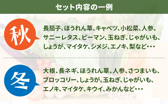【毎月24回コース】豪華！野菜 セット 15品目以上 24回 定期便 / 野菜 フルーツ きのこ 詰め合わせ 南島原市 / 吉岡青果 [SCZ003]