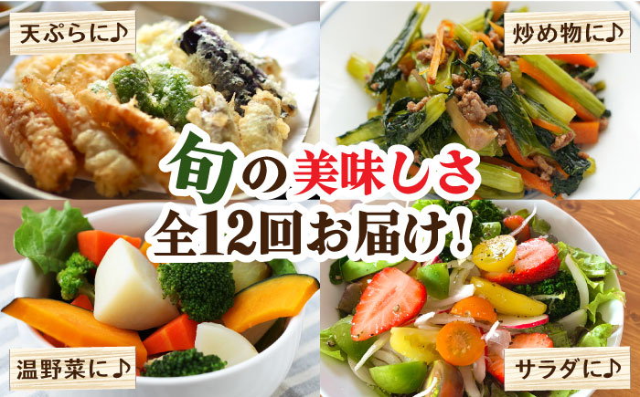 【12回定期便】野菜 キノコ 果物 11品目 詰め合わせ お届け 詰め合わせ 12回  / 定期便 野菜 やさい 春野菜 夏野菜 秋野菜 冬野菜 旬 / 南島原市 / 吉岡青果 [SCZ007]