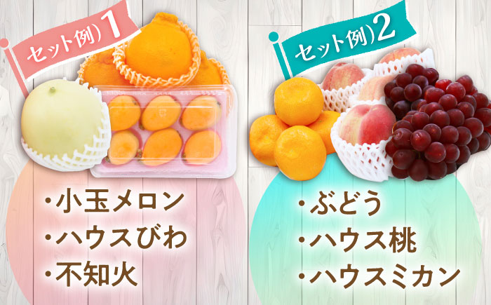 【12回定期便】＜2026年1月～初回発送＞フルーツ定期便 旬の果物をお任せで2～3品目お届け（2～3品目×12回）季節の果物 詰め合わせ 果物 セット / フルーツ 果物 春フルーツ 夏フルーツ 秋フルーツ 冬フルーツ /  南島原市 / 吉岡青果 [SCZ014]