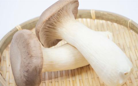 【6回定期便 隔月】きのこ定期便 厳選セット 4品目「6回（隔月）」 / 特選 詰め合わせ 新鮮 産地直送 / 南島原市 / 吉岡青果 [SCZ017]