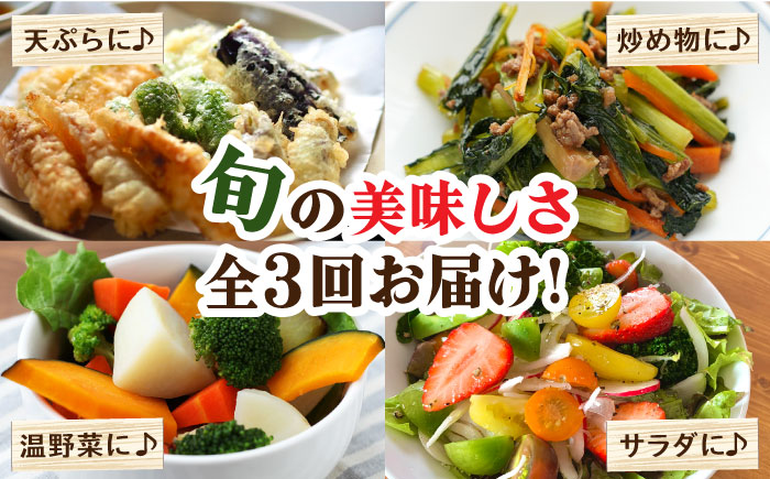 【毎月コース】野菜 キノコ 果物 11品目 詰め合わせ 3回定期便 / 野菜定期便 やさい定期便 きのこ セット 定期便 / 南島原市 / 吉岡青果 [SCZ022]