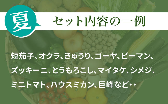 【10回定期便】 豪華！野菜 果物 きのこセット 15品目以上  / 野菜定期便 やさい定期便 フルーツ 果物 キノコ 詰め合わせ / 南島原市 / 吉岡青果 [SCZ025]