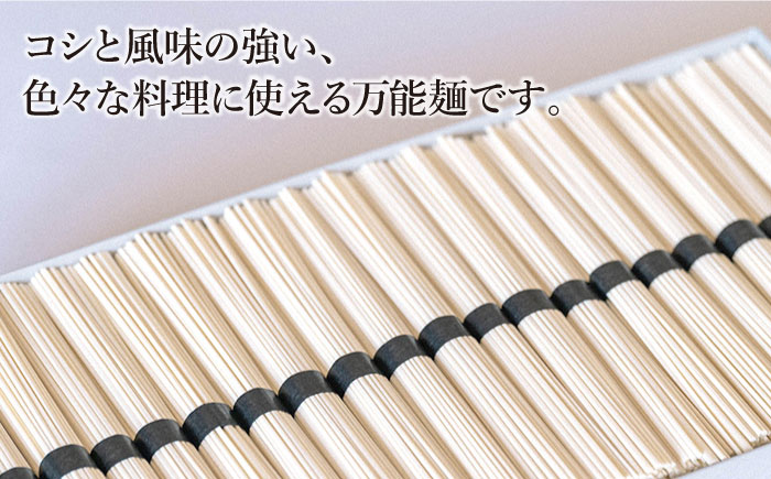 【 定期便 4回】手延べ うどん 3kg （50g×60束）  / 島原手延べ 乾麺 麺 / 南島原市 / 池田製麺工房 [SDA034]