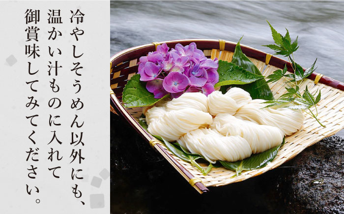 【定期便 年6回】手延べ そうめん 3kg （50g×60束）  / 南島原市 / 池田製麺工房 [SDA043]