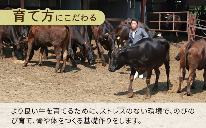 長崎県産 和牛 肩ロース スライス 500g / すき焼き / しゃぶしゃぶ / 南島原市 / 高田牧場 [SDB002]