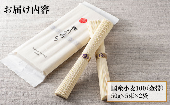 山道そうめん 国産小麦 100 / 50g×5束×2袋 / 南島原市 / そうめんの山道 [SDC003]