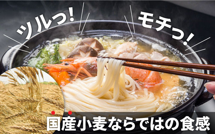 山道うどん 国産小麦100％ 160g×30袋 4.8kg / 乾麺 麺 / 南島原市/ そうめんの山道 [SDC011]