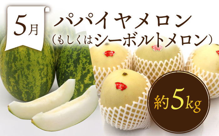 【6回定期便 奇数月コース】＜2026年1月～初回発送＞フルーツ定期便 旬のフルーツをセット/ いちご メロン ハウスみかん 梨 柿 など  / 定期便 旬 フルーツ 果物 春フルーツ 夏フルーツ 秋フルーツ 冬フルーツ / 南島原市 / 贅沢宝庫 [SDZ021]