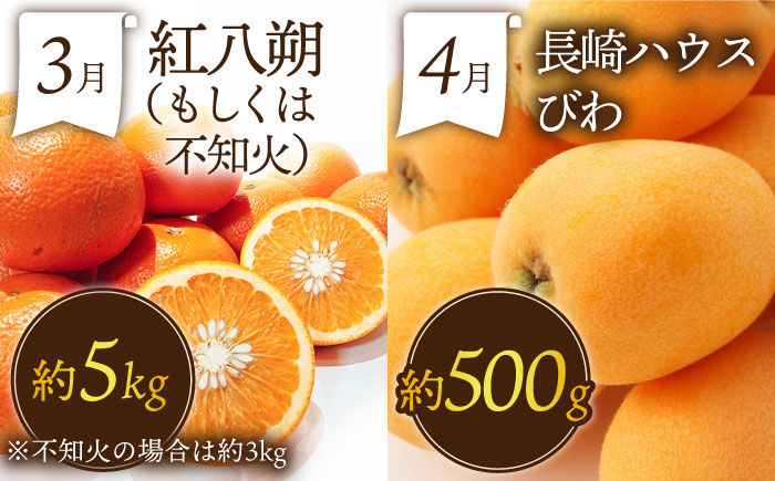 【12回定期便】＜2026年1月～初回発送＞フルーツ定期便 果物屋が選ぶ旬のフルーツ いちご メロン びわ みかん 梨 柿 ぶどう など / 果物定期便 フルーツ 定期便 果物 春フルーツ 夏フルーツ 秋フルーツ 冬フルーツ / 南島原市 / 贅沢宝庫 [SDZ023]