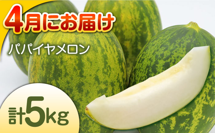 【偶数月 6回定期便】長崎・南島原グルメ バラエティ定期便 / バラエティ セット 野菜定期便 フルーツ定期便 フルーツ 果物 野菜 やさい そうめん 角煮 皿うどん ちゃんぽん / 南島原市 / 贅沢宝庫 [SDZ039]