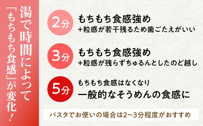 【田中製麺】彩湟（さいこう）全粒麺 ノンオイル製法 島原手延べそうめん 万能麺 170g×6袋 / 純国産 乾麺 パスタ 素麺 / 南島原市 / 贅沢宝庫 [SDZ040]