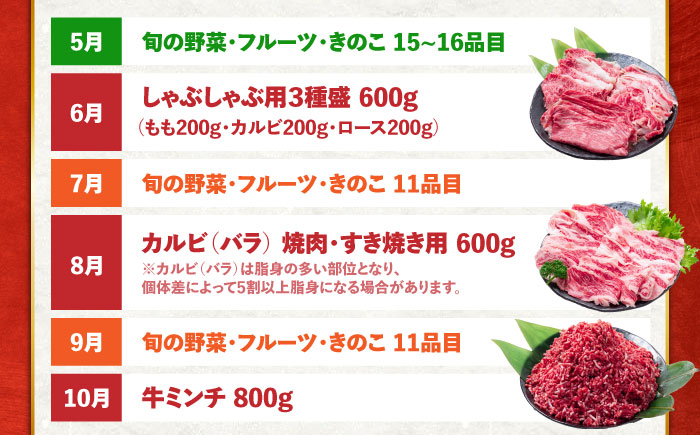【12回定期便】長崎和牛と旬の野菜が楽しめる バラエティ定期便 / 野菜定期便 やさい定期便 肉定期便 牛肉 / 南島原市 / 贅沢宝庫 [SDZ054]