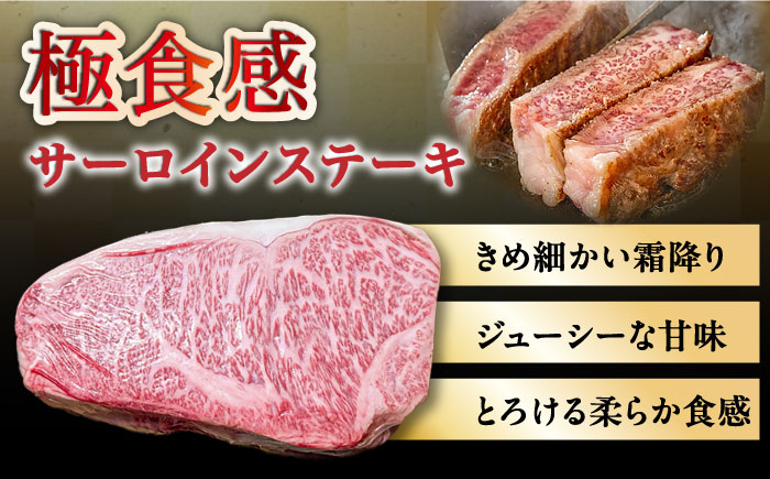 サーロイン ブロック 約3kg 肉 長崎和牛 ステーキ /南島原市 / 島原雲仙農業協同組合 [SES001]