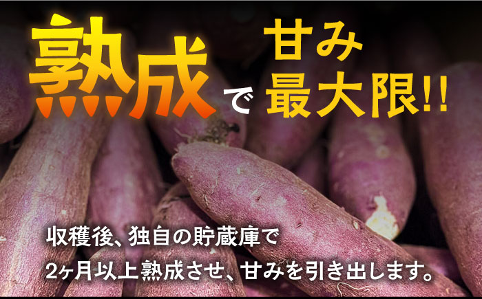 【数量限定】【ねっとり甘い熟成サツマイモ】冷凍焼き芋（紅はるか） 20本(S～M) / 小分け 個包装 / 南島原市 / 池田海陸物産 [SEW001]
