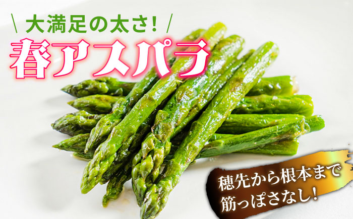 【2026年3月～発送】【数量限定】甘い！柔らかい！厳選 グリーン アスパラガス 約1kg / 採れたて 新鮮 旬 産地直送 野菜  3L・2L・L・Mサイズ  ミックス / 南島原市 / ほしのYA [SEY001]