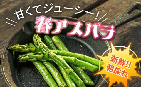 【2026年3月～発送】【星のアスパラ】特選 3L・2L・L 春 の グリーン アスパラガス 約1kg / アスパラ アスパラガス 野菜 / 南島原市 / ほしのYA [SEY005]