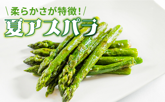 【3回定期便】【星のアスパラ】夏のグリーンアスパラガス 約1kg / アスパラ 野菜 / 南島原市 / ほしのYA [SEY014]