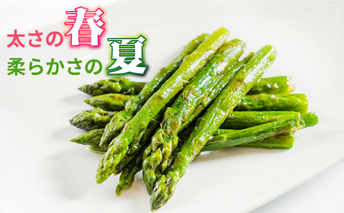 【3回定期便】【星のアスパラ】春・夏 の グリーン アスパラガス 約1kg / アスパラ 野菜 / 南島原市 / ほしのYA [SEY016]