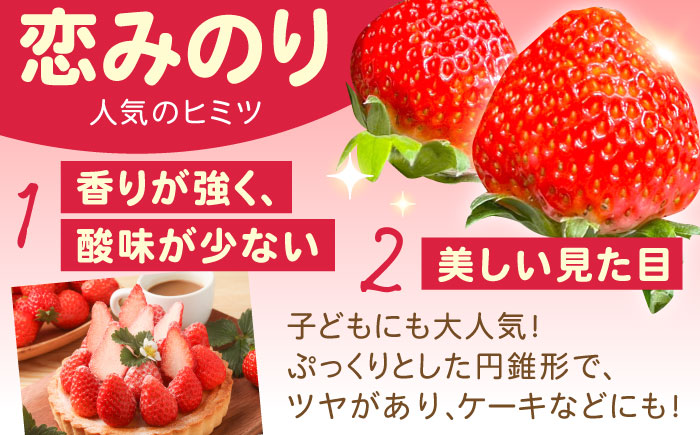 【2026年1月 初回発送】【5回定期便】南島原産 いちご 「恋みのり」約260g×4P / フルーツ 果物 / 南島原市 / あゆみfarm [SFF004]