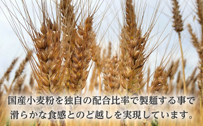 原城 極太そうめん　露草四朗　300ｇ（75ｇ×4束）/ 手延べ 麺 / 南島原市 / 銀之霊泉 [SFW003]