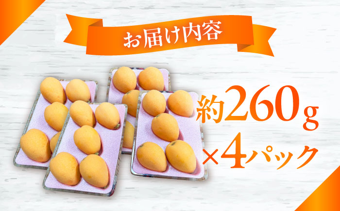 【2025年3月下旬?発送】【数量限定】長崎ハウス びわ 約1kg（約260g × 4p） / フルーツ びわ ビワ 枇杷 / 南島原市 / O' Berry! [SGA002]