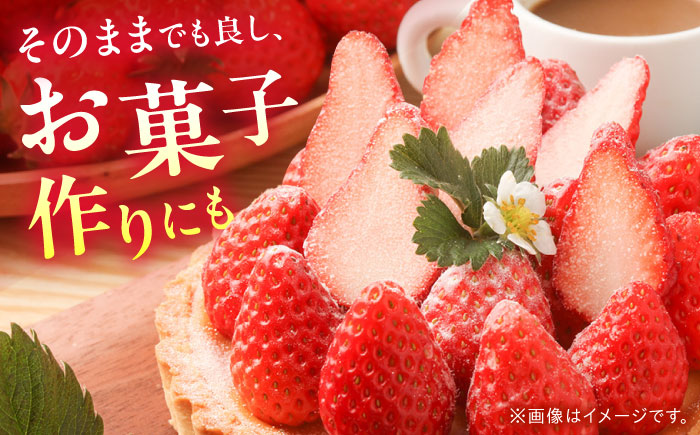 【2回定期便】【2026年3・4月お届け】【数量限定】いちご「ゆめのか」 約260g × 4P / イチゴ 苺 フルーツ 果物 産地直送 朝摘み / 南島原市 / O' Berry! [SGA003]