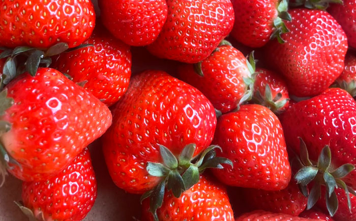 【4回定期便】プロ厳選 旬のフルーツ定期便 / 果物 フルーツ 果物定期便 フルーツ定期便 / 南島原市 / 愛2農園 [SGG002]