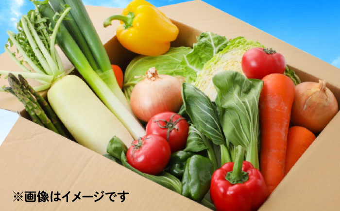 【6回定期便】野菜のプロが選ぶ 旬の野菜セット 12～13品目 野菜定期便 / 野菜 やさい セット 新鮮 / 南島原市 / 愛2農園 [SGG003]