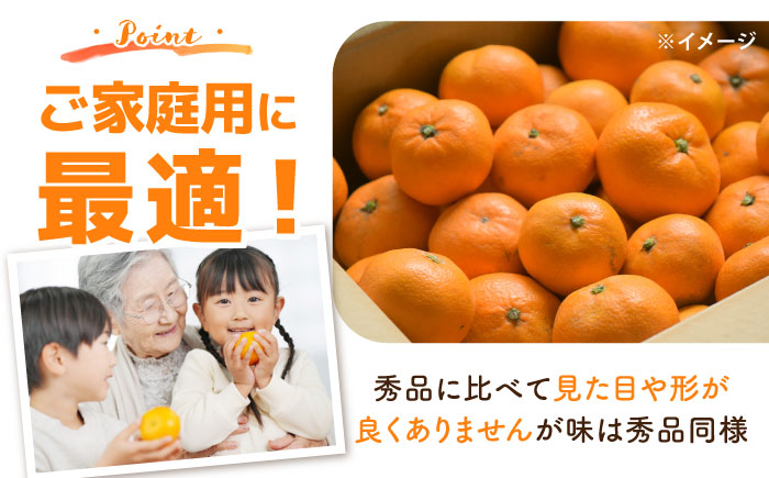 【2025年12月中旬～発送】【訳あり】家庭用 南高みかん 10kg / みかん ミカン 蜜柑 果物 フルーツ / 南島原市 / 南高果樹農業協同組合 [SGI002]