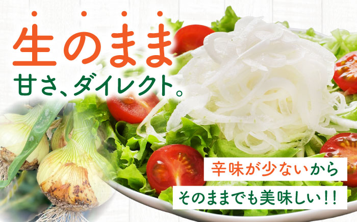 たまねぎ 5kg / タマネギ 玉葱 玉ねぎ 野菜 やさい カレー シチュー バーベキュー スープ サラダ / 南島原市 / 城谷農園 [SGV001]