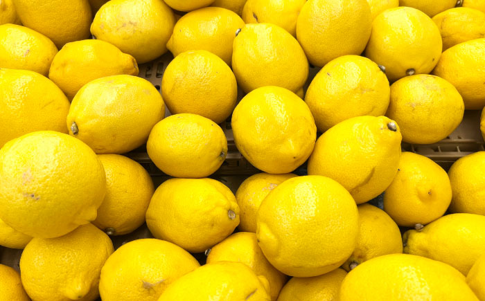 レモン 5kg 国産 希少 / れもん 檸檬 柑橘 フルーツ ふるーつ 果物 くだもの / 南島原市 / 城谷農園 [SGV002]