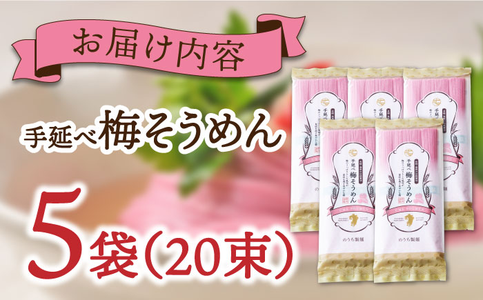 手延べ梅そうめんセット あごだしスープ付き 1.1kg / 麺 乾麺 梅 うめ ウメ / 南島原市 / のうち製麺 [SAF043]