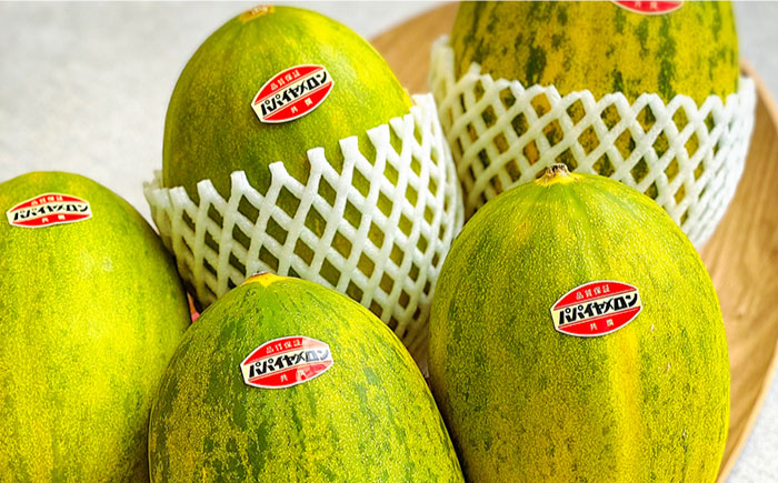 【2026年4月～発送】【サクサク生地】南島原産パパイヤメロンのタルト / タルト メロン めろん 18cm / 南島原市 / アトリエジジ [SAA026]