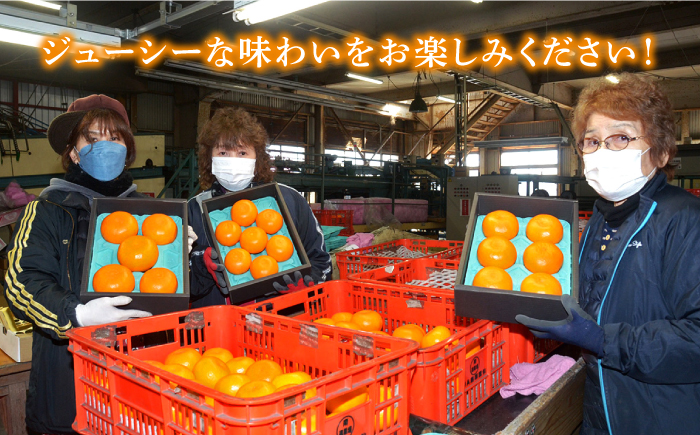 【2026年2月～発送】期間限定！せとか 2kg / みかん / 南島原市 / JA島原雲仙東南部基幹センター[SAC002]