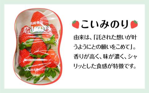 【2026年1月～発送】 いちご 2種類 食べ比べ 約250g×4P / ゆめのか こいみのり 果物 フルーツ / 南島原市 / JA島原雲仙東南部基幹センター[SAC006]