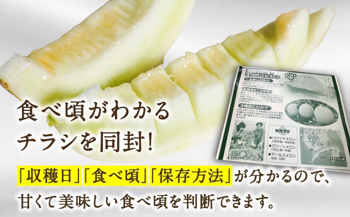 【2026年3月中旬~発送】【平成新山PREMIUM（とみちゃん厳選）】しらかばメロン 5玉～8玉 約5kg / 果物 フルーツ / 南島原市 [SAD002]