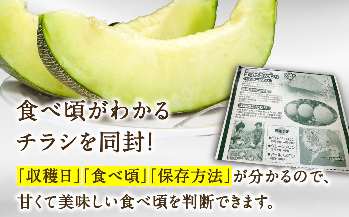 【2026年7月上旬～発送】【平成新山PREMIUM（とみちゃん厳選）】グリーンメロン 2玉 / 果物 フルーツ / 南島原市 [SAD003]