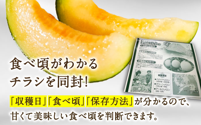 【2026年7月下旬～発送】【平成新山PREMIUM（とみちゃん厳選）】アールスメロン 2玉 / 果物 フルーツ / 南島原市 [SAD004]