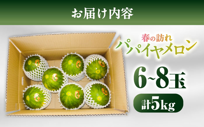 【2026年3月中旬～発送】パパイヤメロン 6～8玉 約5kg / メロン めろん 果物 フルーツ / 南島原市 / うえだメロン園 [SAD008]