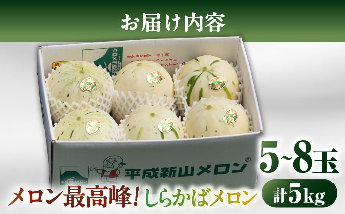 【2026年3月下旬～発送】しらかばメロン 5玉～8玉 約5kg / メロン めろん 果物 フルーツ / 南島原市 / うえだメロン園 [SAD009]