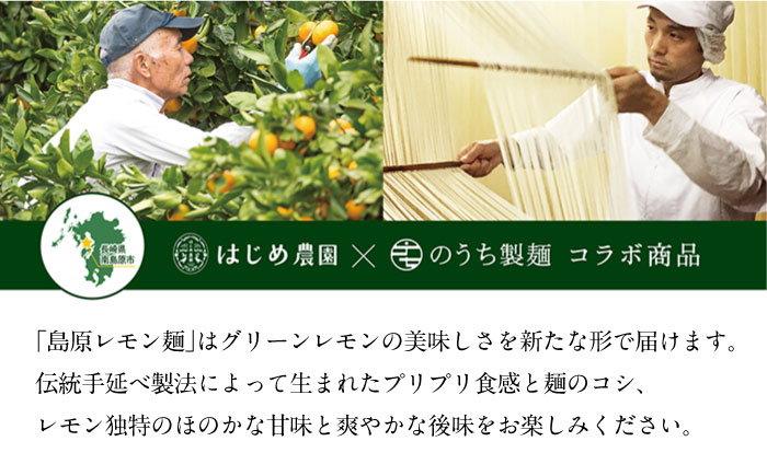 【2025年5月?発送】島原レモン麺 ギフト (8食入) / ラーメン 乾麺 レモン / 南島原市 / のうち製麺 [SAF018]